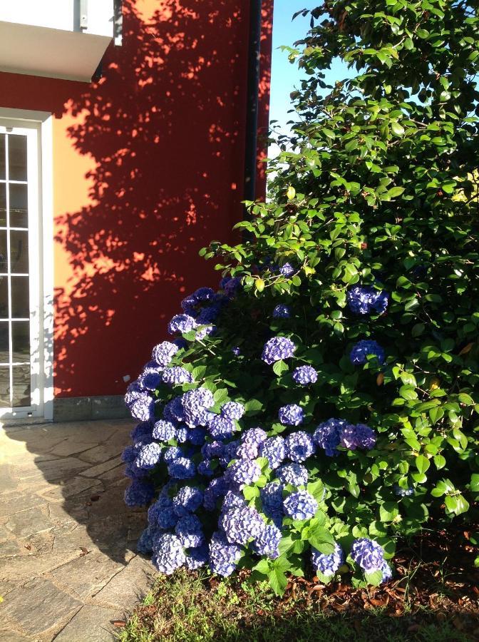 'L Sass Bed & Breakfast Borgomanero Exterior photo